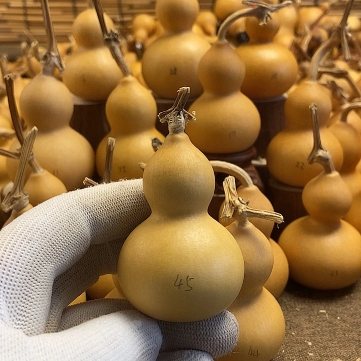 文玩葫芦 完美主义者 慎拍45