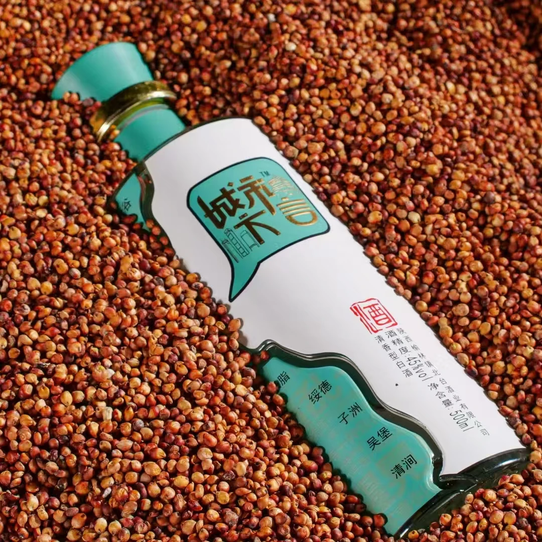 镇北台【陕北人必喝的酒】镇北台城市方言酒清香型45度500ml【整件特