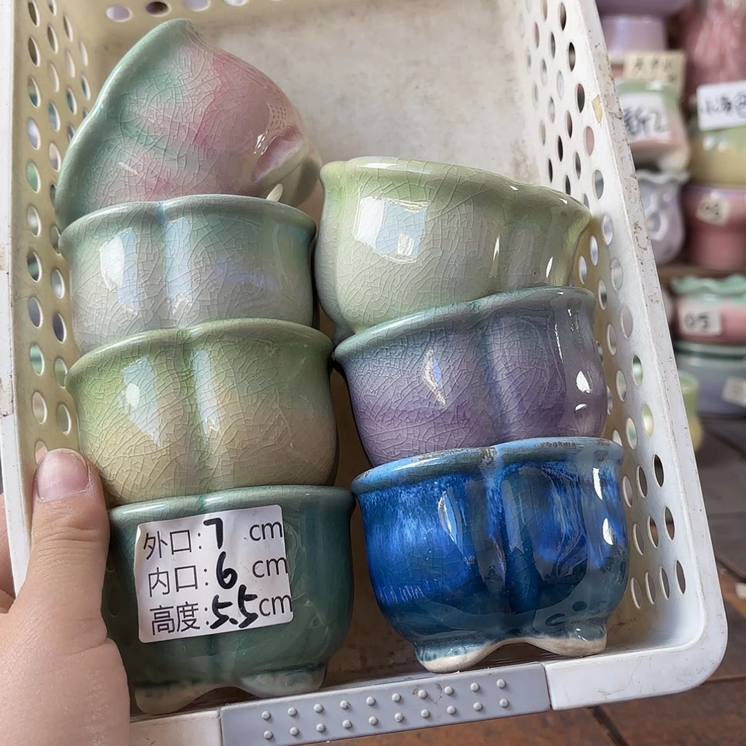 量货/6口高5.5深浅搭配发6