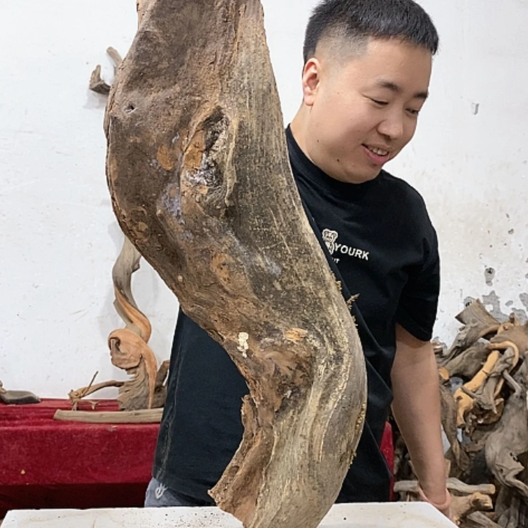 【闪购商品】柏木山****王我们的目标就是成为更优秀