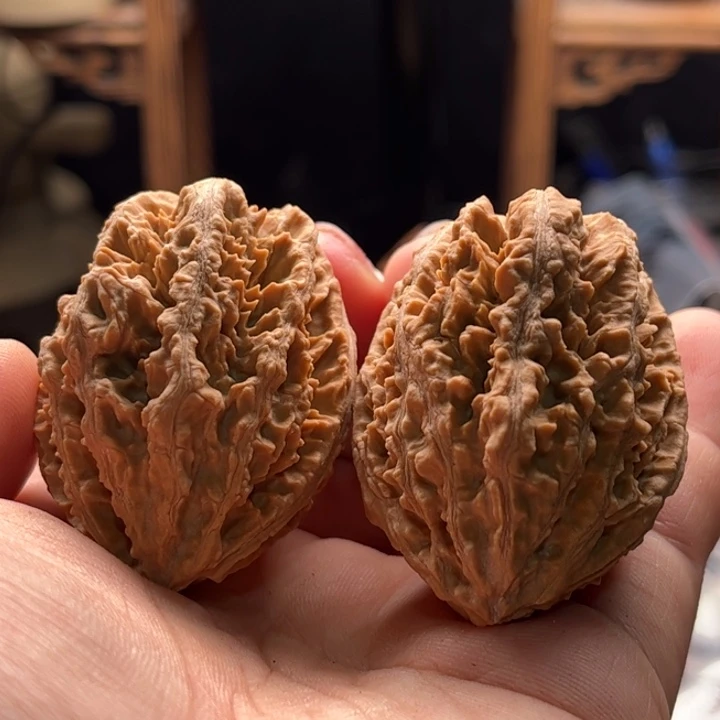 文玩核桃把件楸大胖46