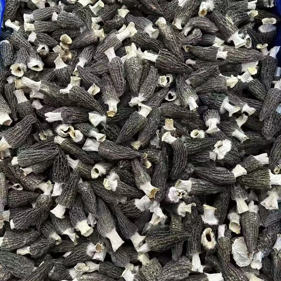 W  裕初 羊肚菌有柄100g  煲汤煮粥酿肉 干货 广东汕头