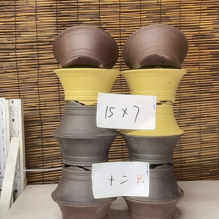 紫砂花盆我在外面