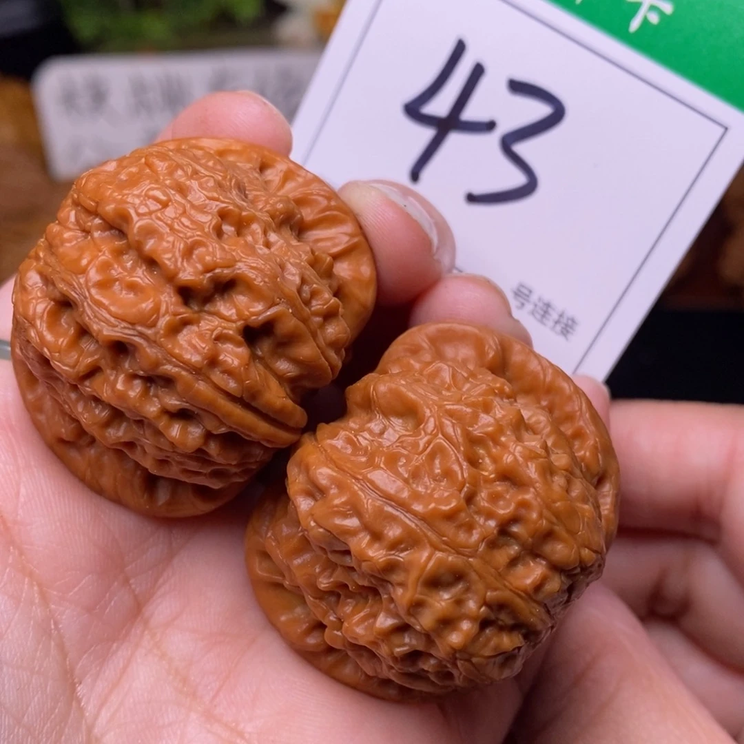 把件文玩核桃43雪麒麟4.0