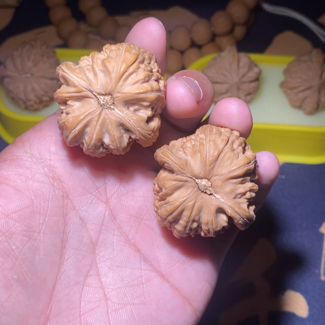 文玩核桃白狮子全品福利39尺寸