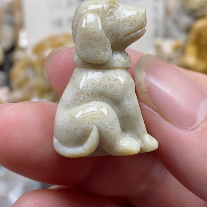 颈饰未镶嵌硅化珊瑚（珊瑚玉）