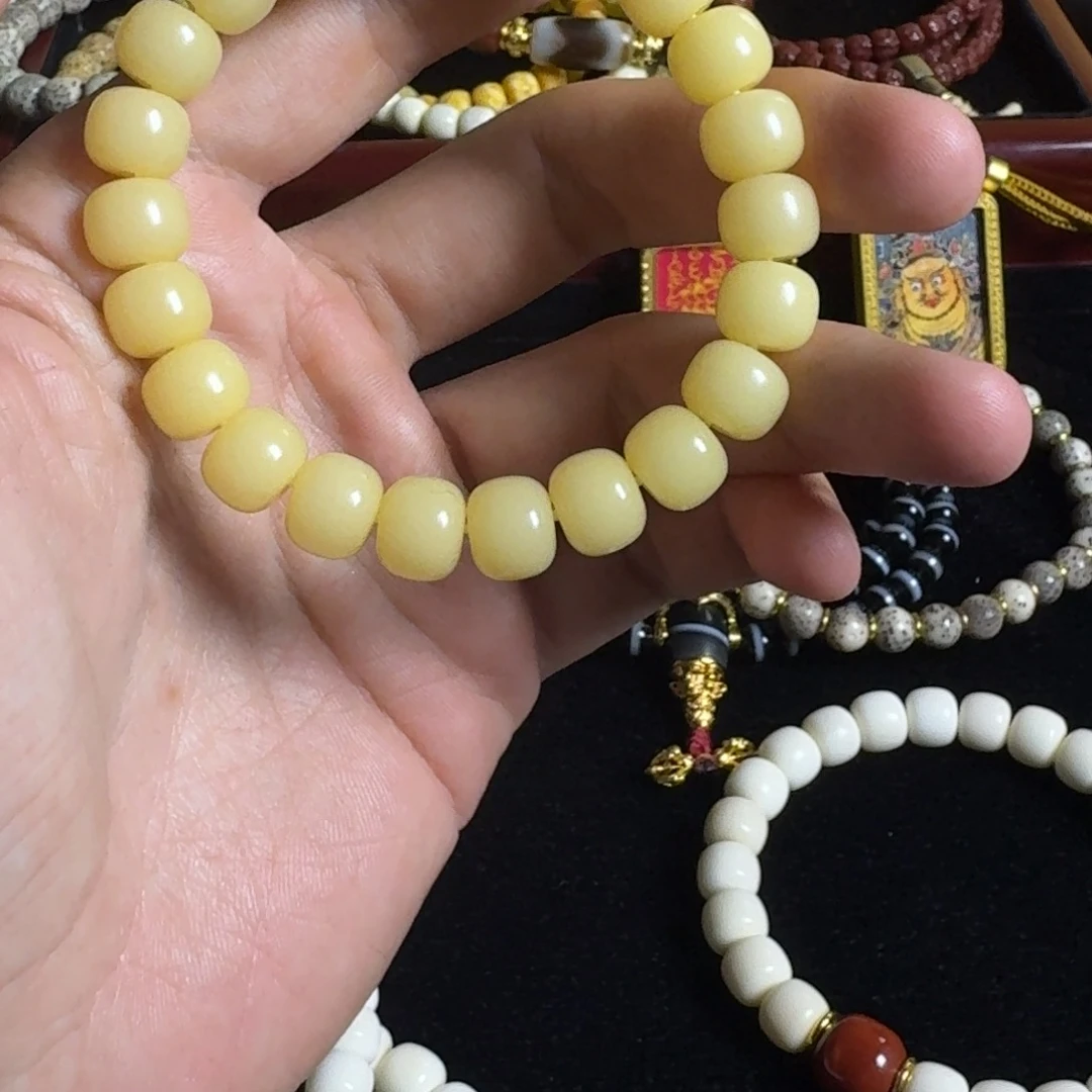 吊坠菩提根/象牙果