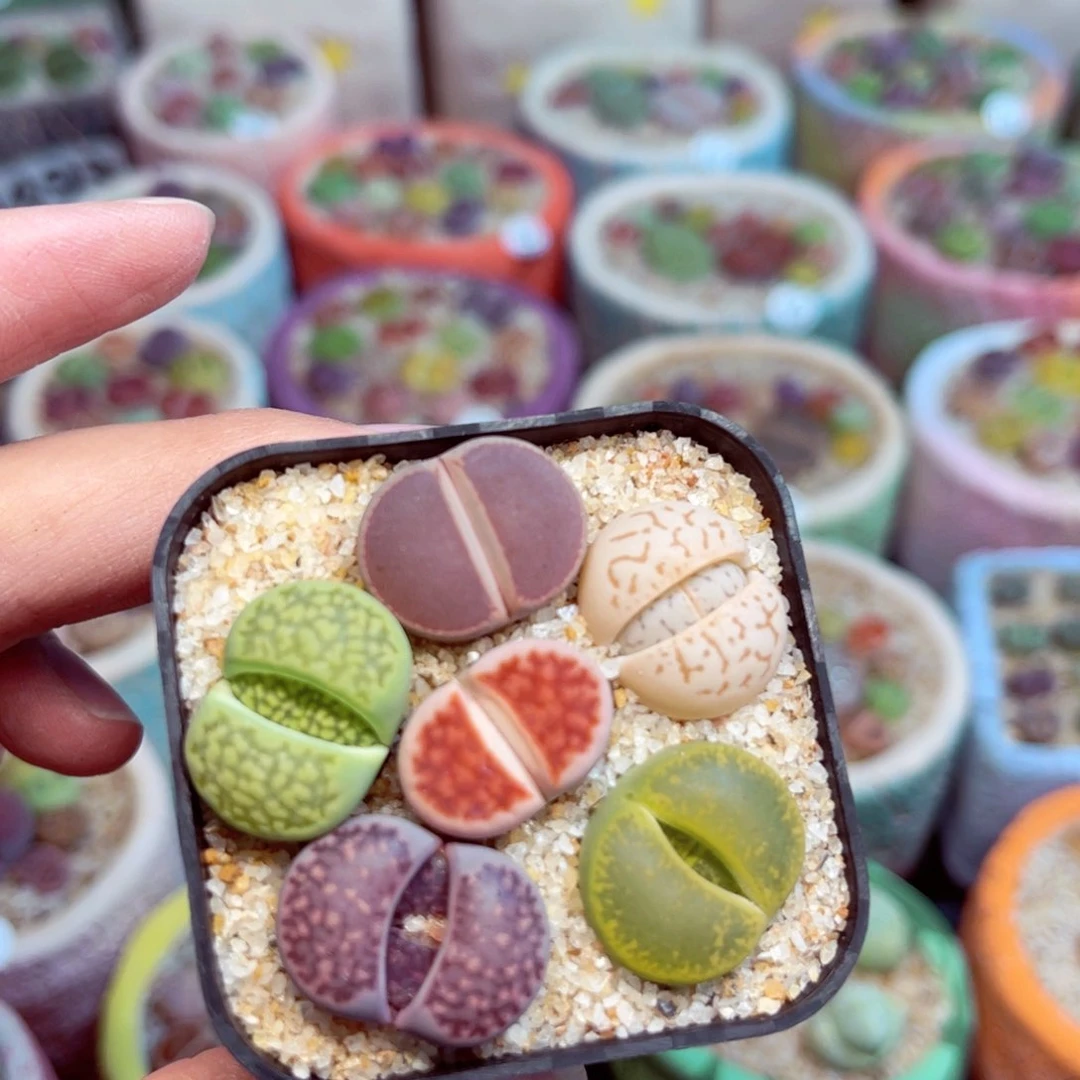 633。8888888888888888