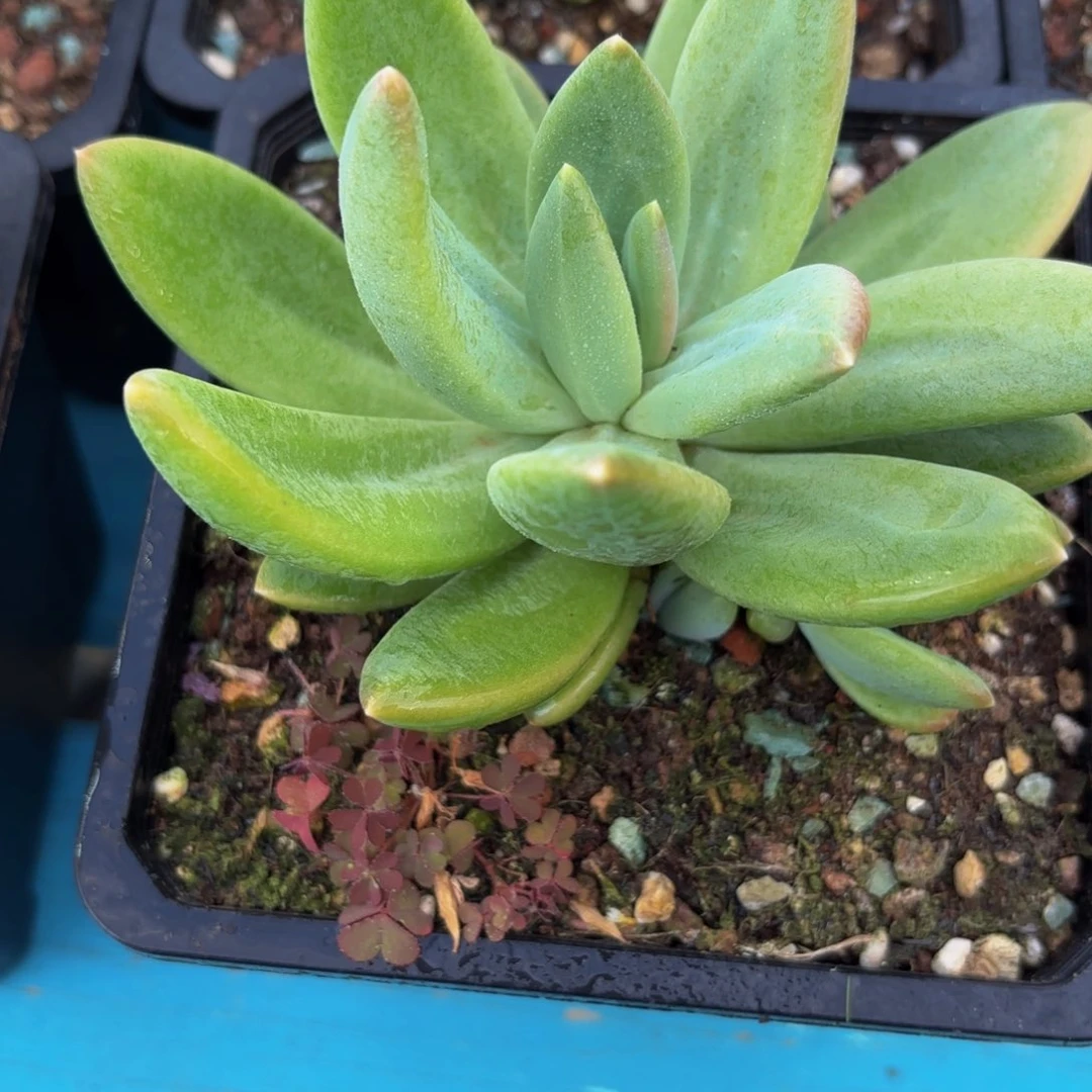 Hcjjhvjjgvjjhbvvbbhhh