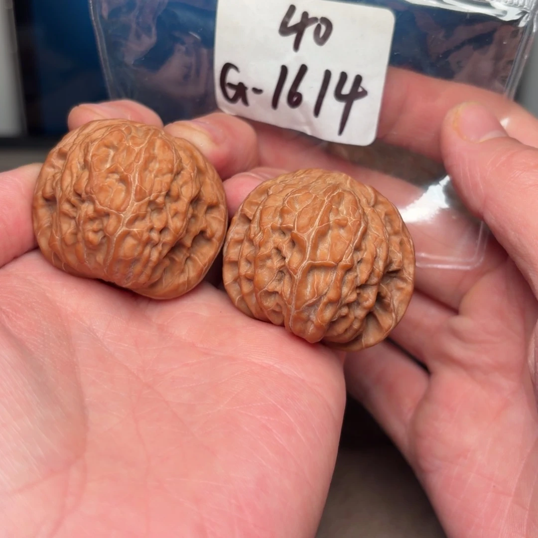火***箭文玩核桃把件40磨盘1614号