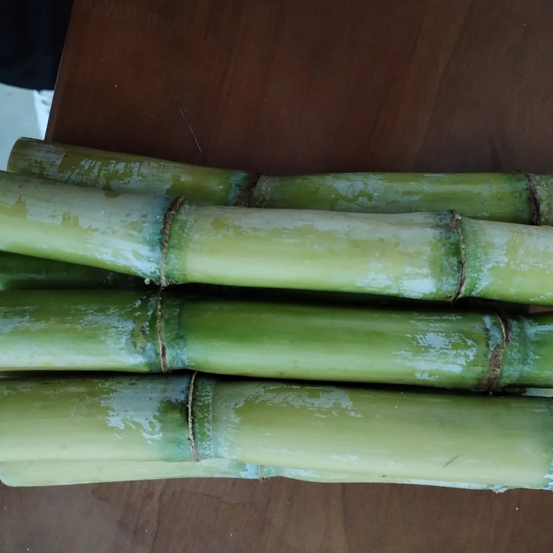 陶山青皮甘蔗五斤儿童装