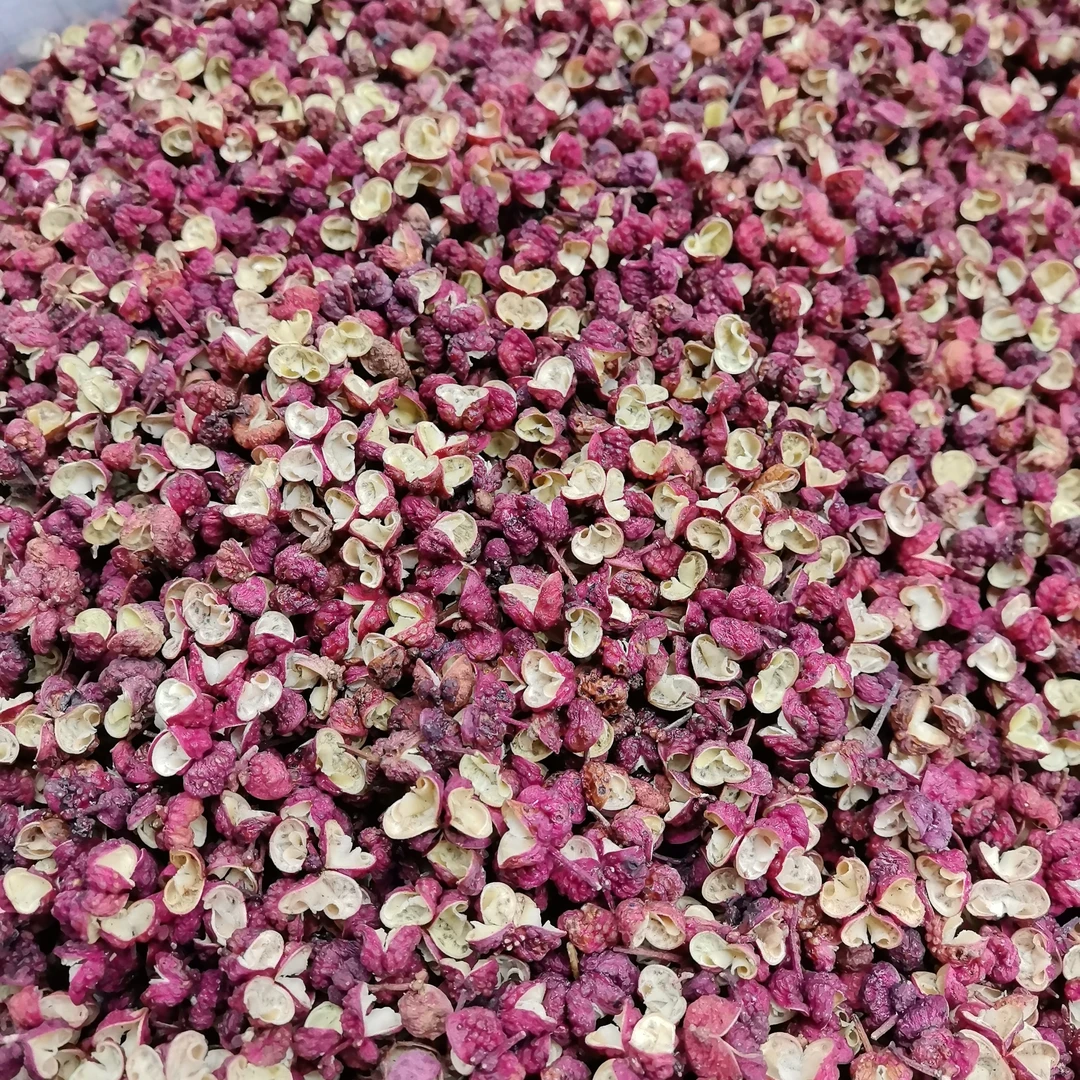 四川汉源大红袍花椒特香特麻火锅烹饪调味料