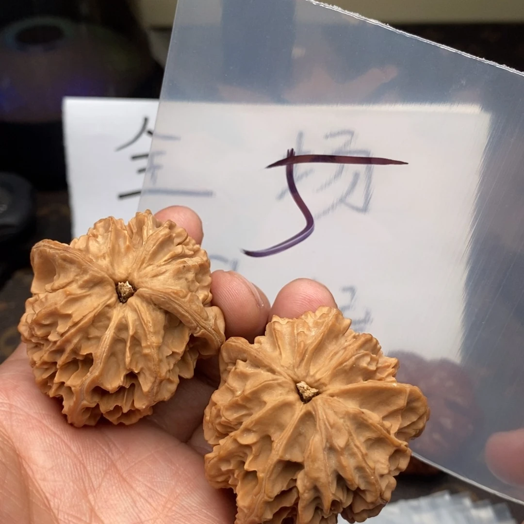 756753735735358573735