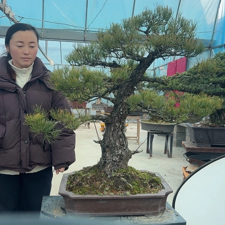 唐***具无花朵45667777777