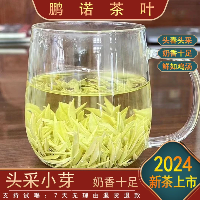 【限量款大熊猫安吉奶香白茶】-2024新茶N2 鲜香嫩滑 品质推荐