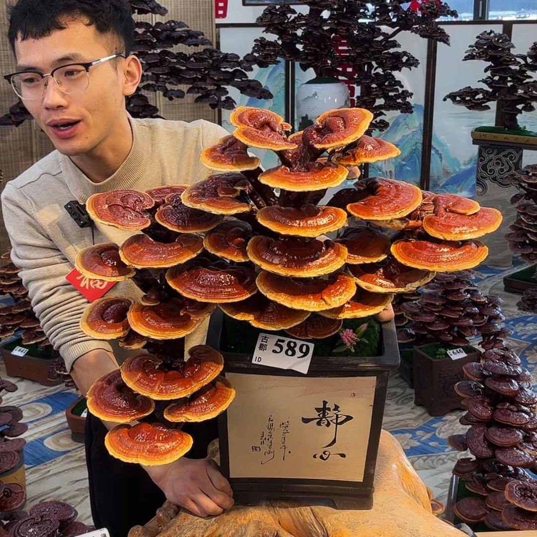 【闪购商品】88888