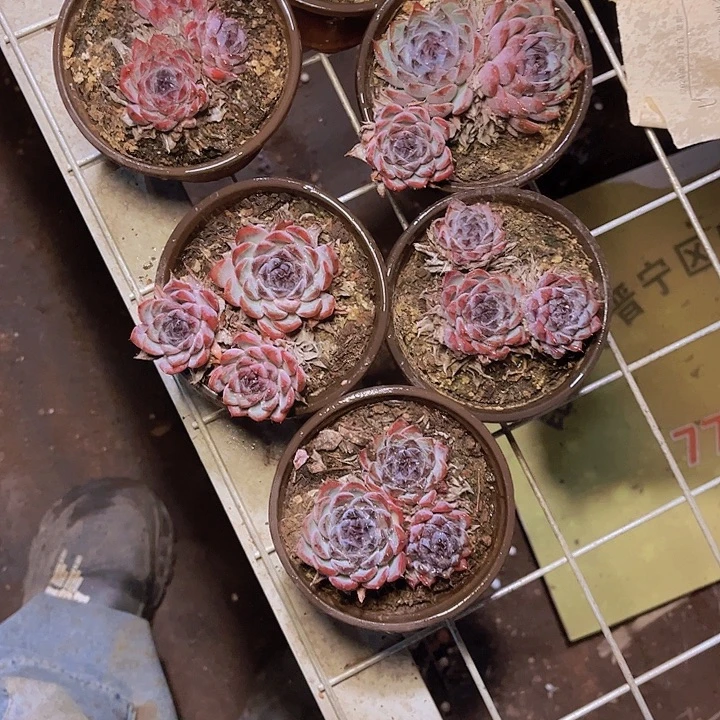 小***豆好好休息了明天好好工作我是