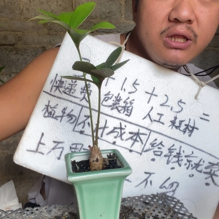 避***湾退款拉黑一物一拍74