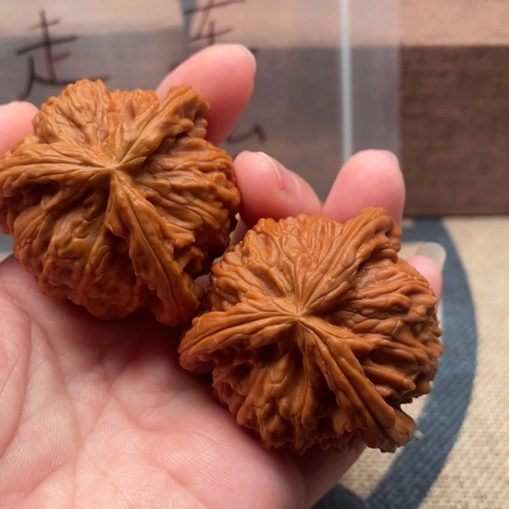 蹲****核桃白狮子44核桃