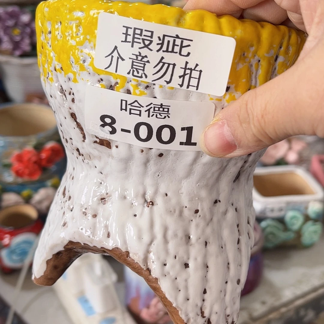 【闪购商品】红陶801