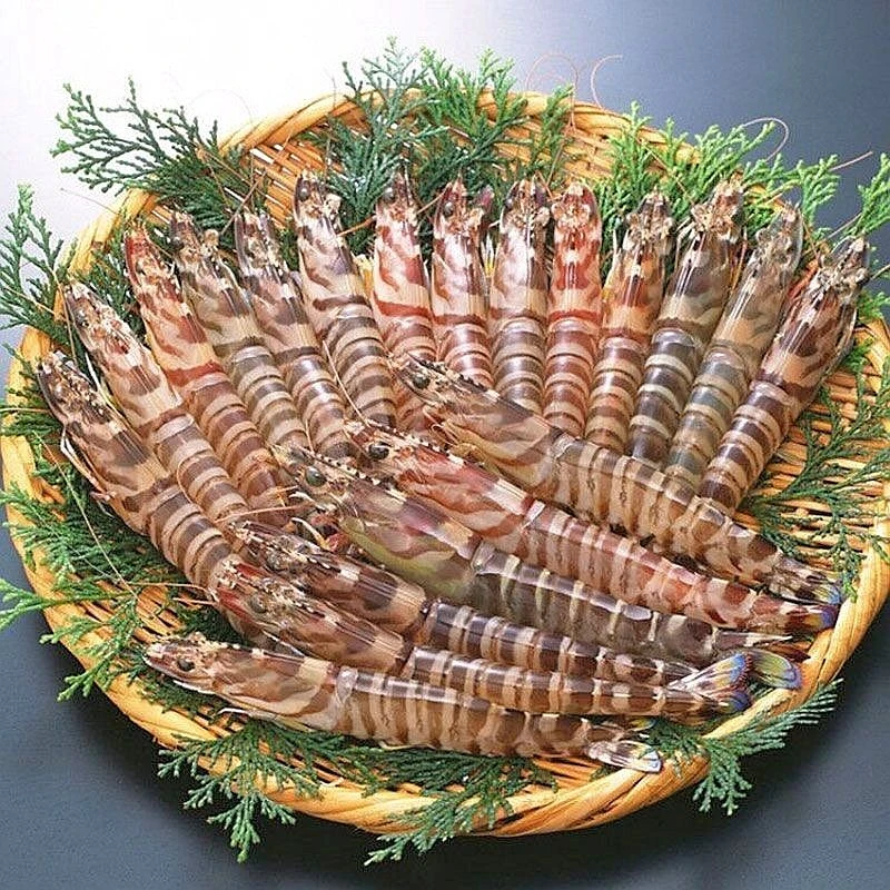 斑节虾  2斤包邮【同城发货】