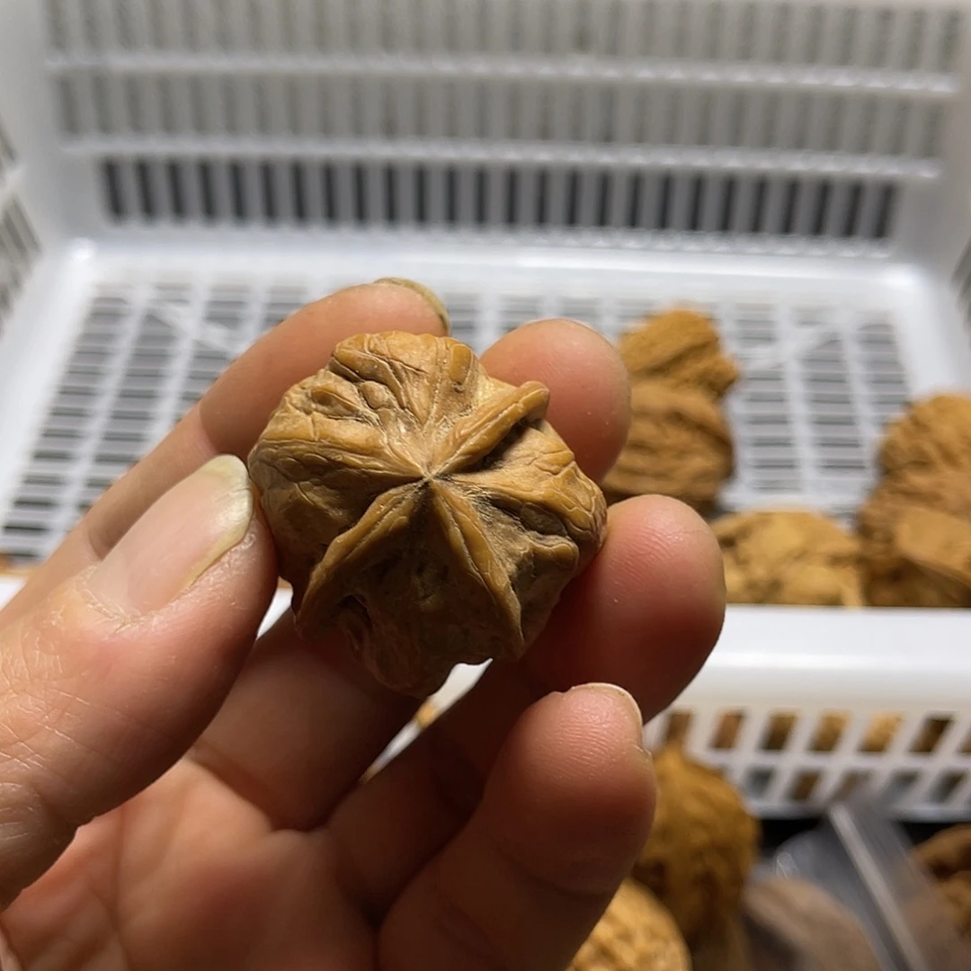 秘***地文玩核桃吊坠核桃单只