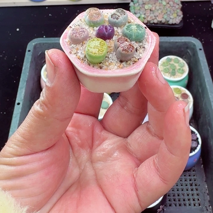 302零下地区记得拍保温箱