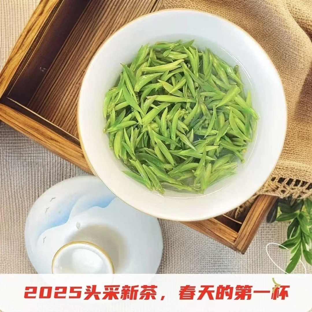 2025年新茶舒城小兰花明前开园头春头采绿茶罐装250g/500g
