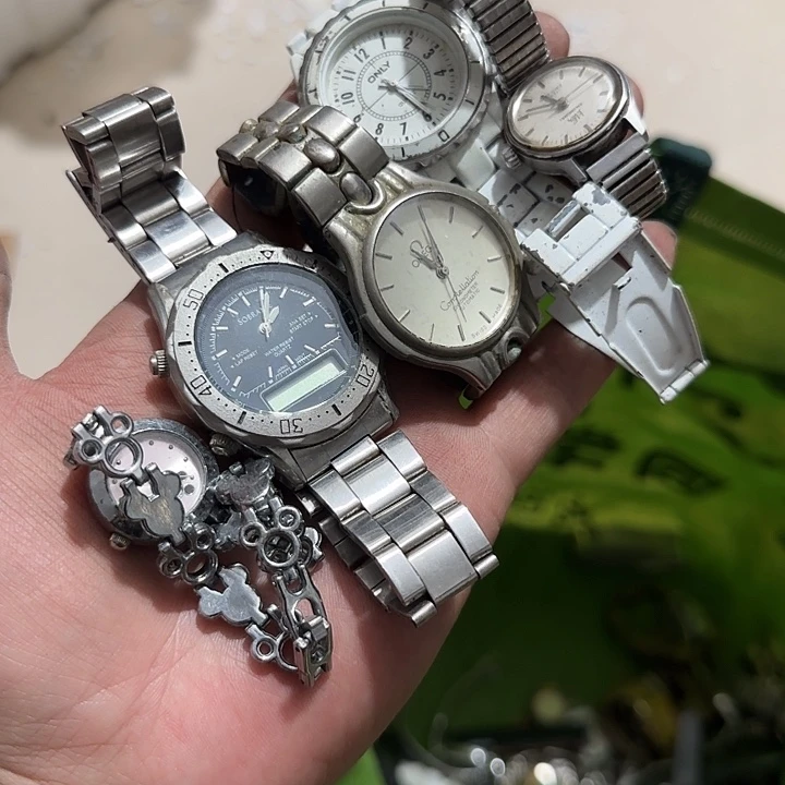 贝壳杉其****）Ghghghghghghg