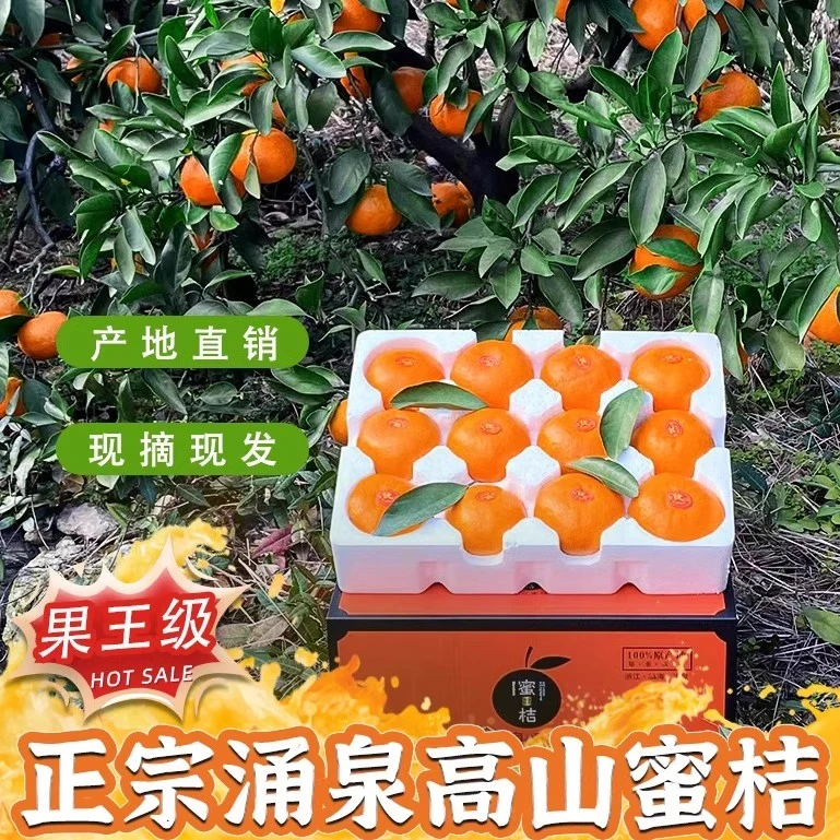 正宗临海涌泉蜜桔高山精选橘子现摘现发桔子皮薄汁多产地精选发货