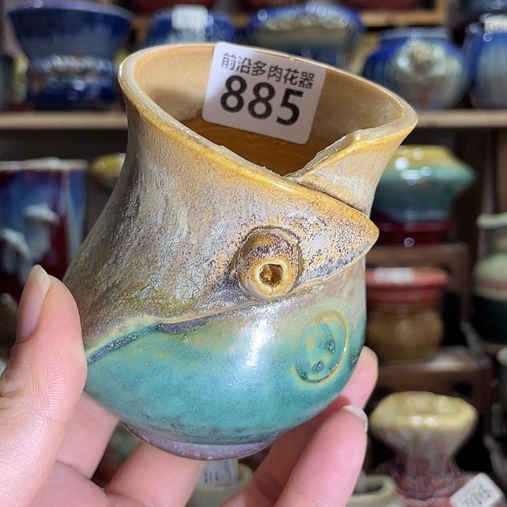 狼盆内口径6高度8