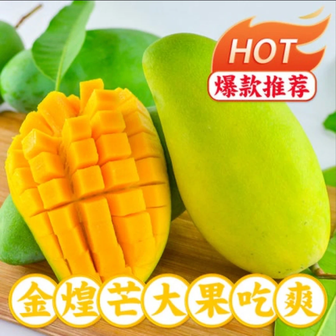 【坡里河】金煌芒五斤当季新鲜水果整箱青皮芒果甜心芒