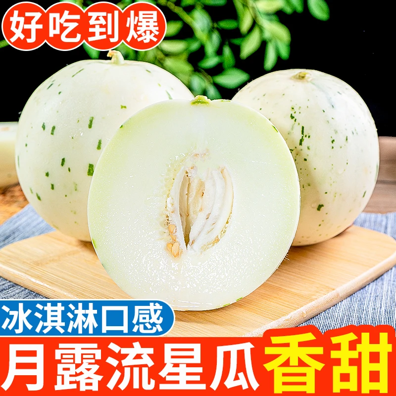 月露流星甜瓜【彩箱】山东正宗新鲜应季水果当季整箱包邮梦露