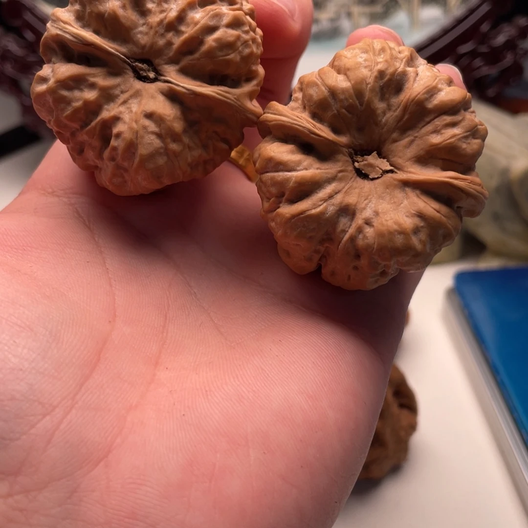 L***R核桃蛤蟆头文玩C23