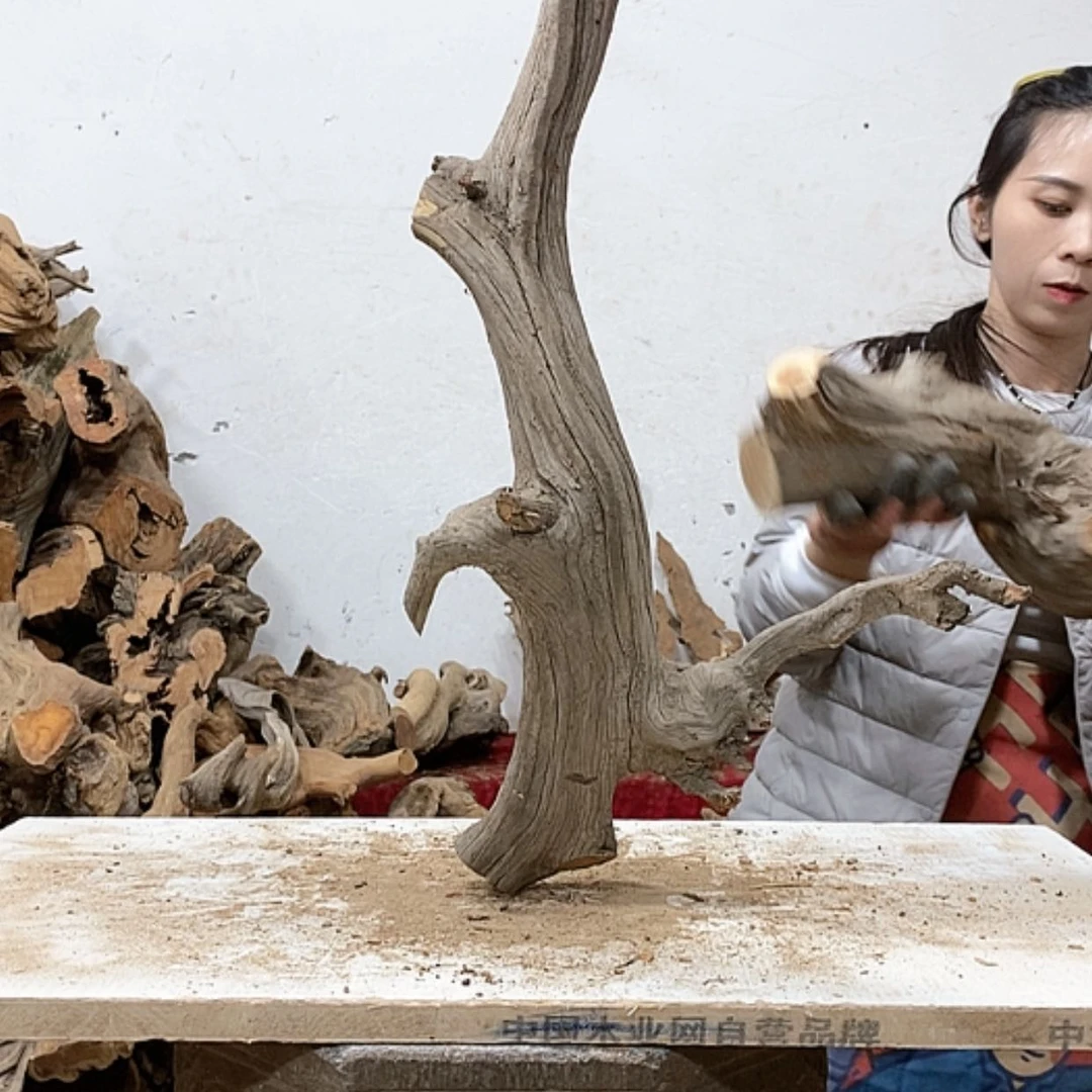 【闪购商品】柏木勇**钱我们都是好孩子