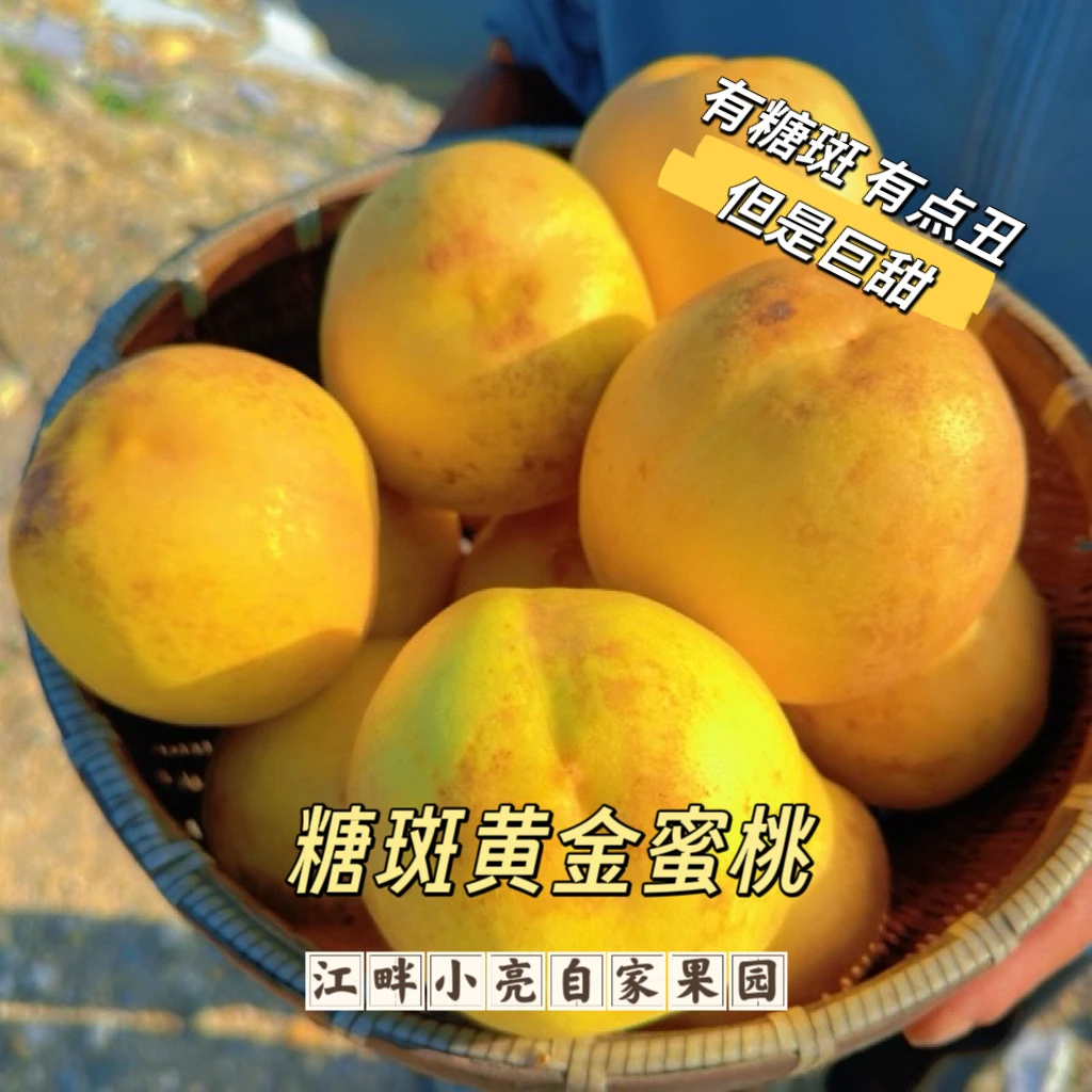 丹东糖斑黄金蜜桃丑桃 油桃纯甜爆汁 巨甜 大果礼盒装 自家果园