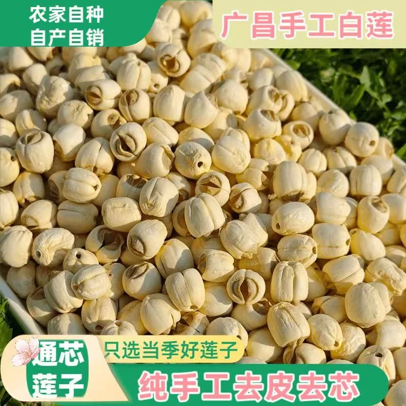 正宗福建建宁莲子农家自产新鲜手工去芯白莲子特干级散装干货大粒