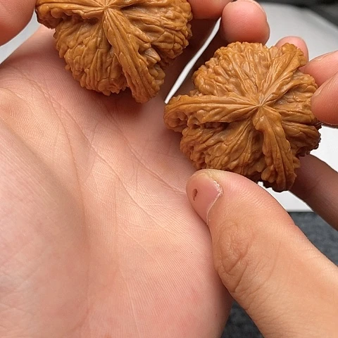 郑***华白狮子11111111111111