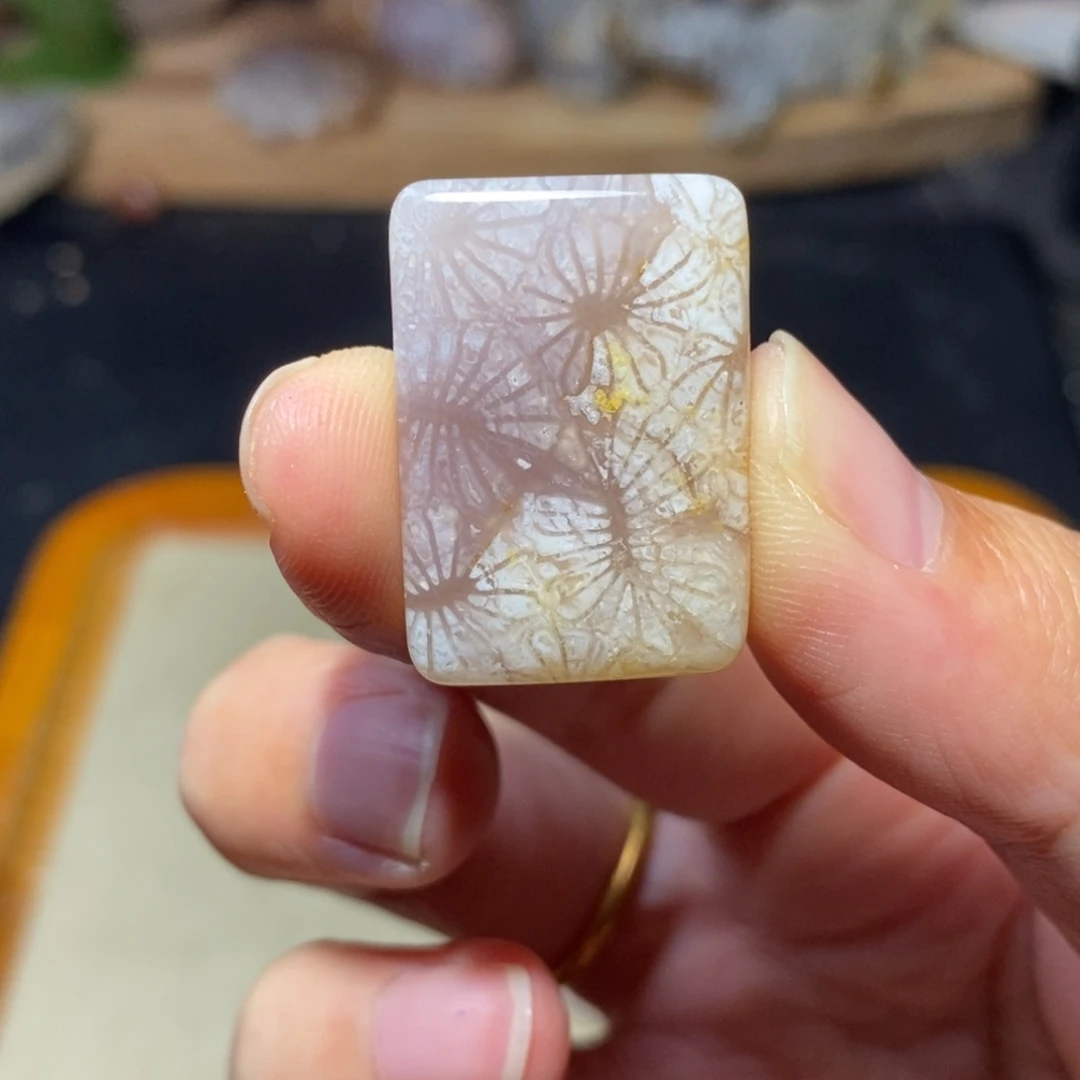 【闪购商品】硅化玉颈饰未镶嵌