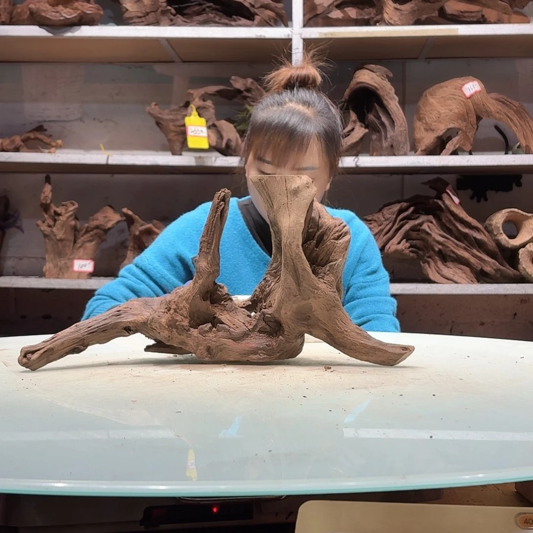 倍储沉木不包损必褪色新5086