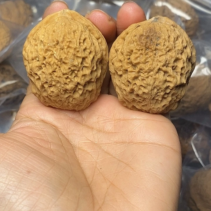 把件文玩核桃云南铁核桃38