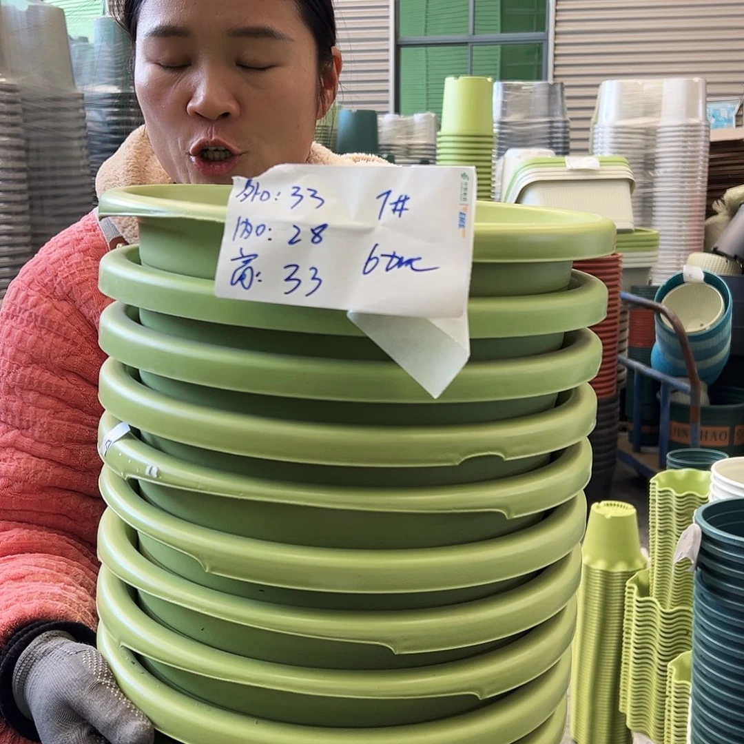瑕疵四季盆7#果绿色10个无托
