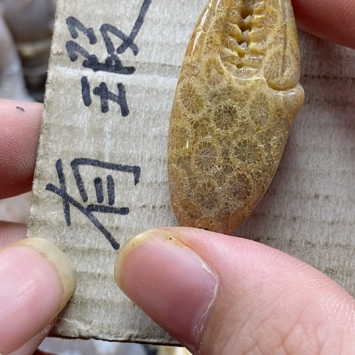 硅化珊瑚（珊瑚玉）颈饰未镶嵌盈**姐