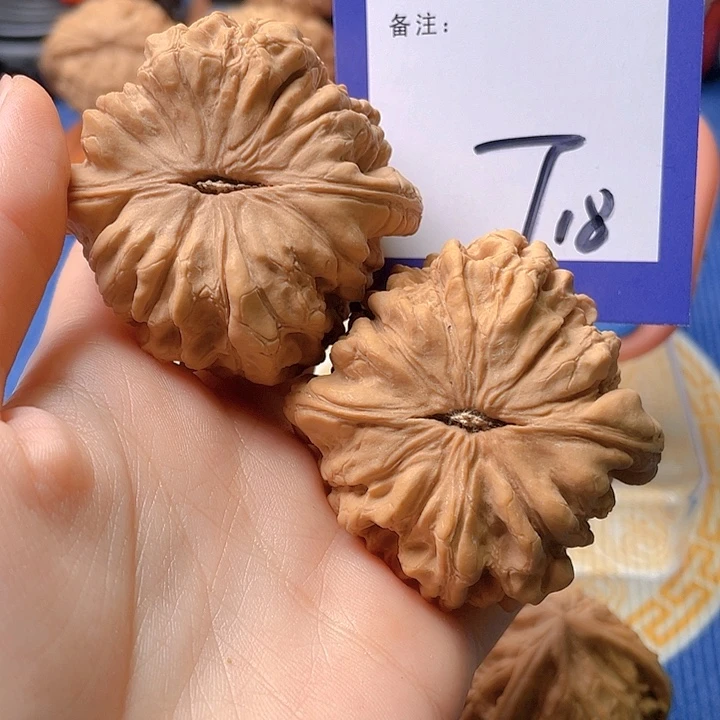 文玩核桃把件海****措文玩核桃18