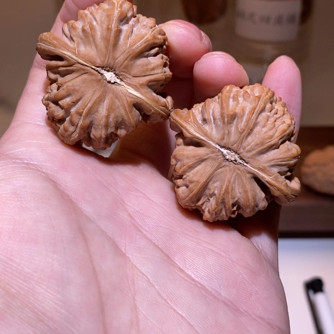 41尺 全品白茬 白狮子