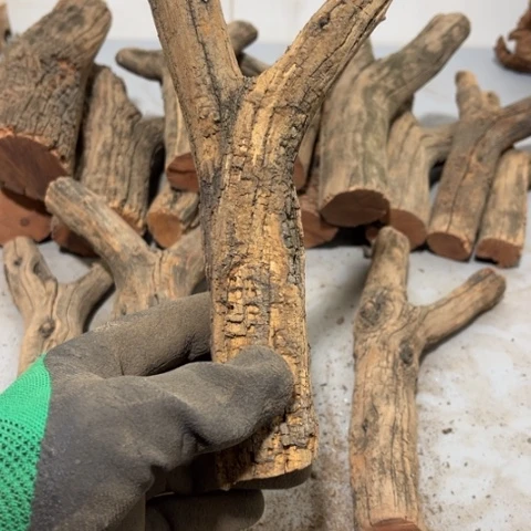 大果紫檀（缅甸花梨）小*