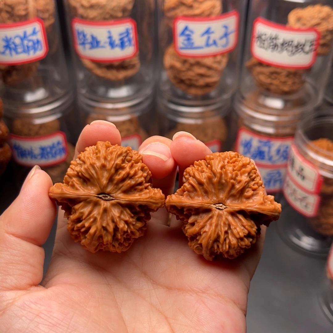 小***草把件文玩核桃40满天星