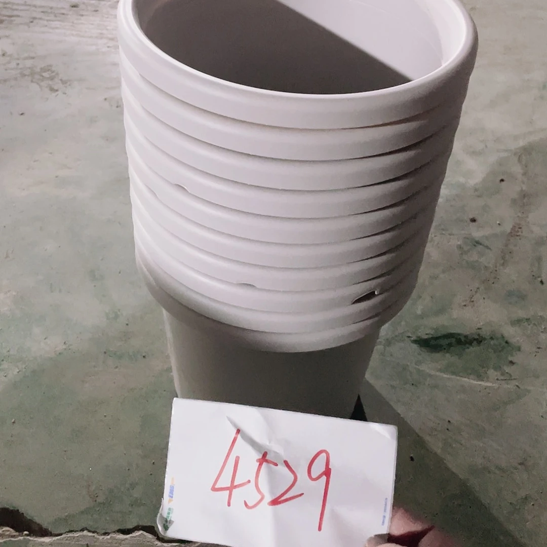 编号是4529的编号