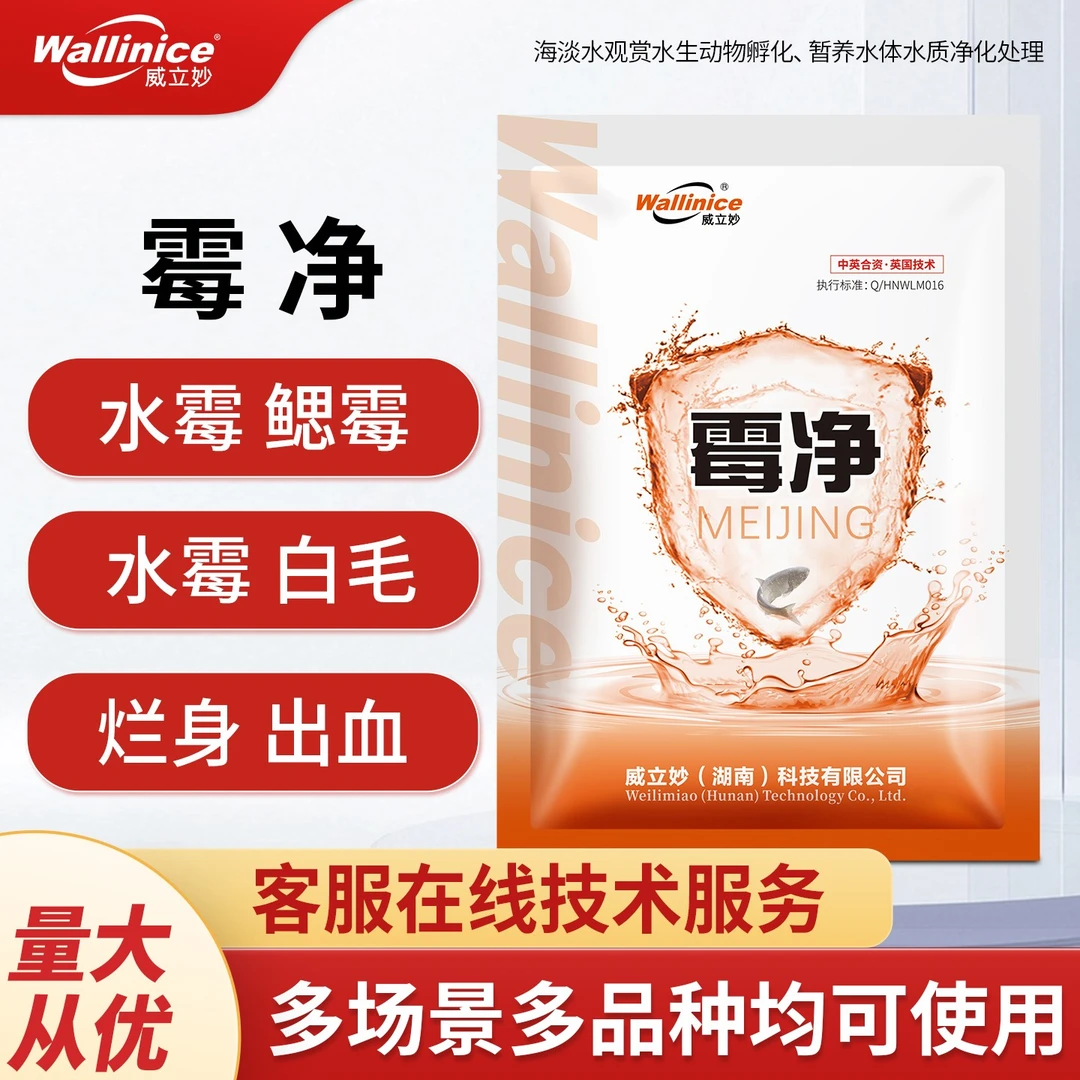 威立妙霉净工厂化苗种孵化观赏鱼缸水产养殖消毒杀菌水霉鱼塘