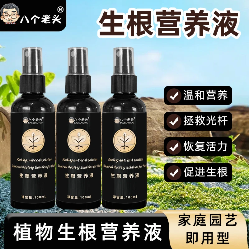 植物通用快速生根营养液富贵竹果树专用移栽扦插生根壮苗剂树桩水